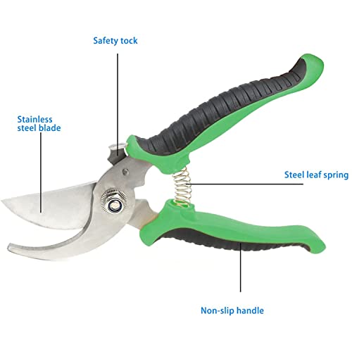 Trimmers Secateurs Hand, Professionele Secateurs, Sharp Bypass Tree Trimmers for Branches Flowers Fruit Planten Bonsai… - Afbeelding 3