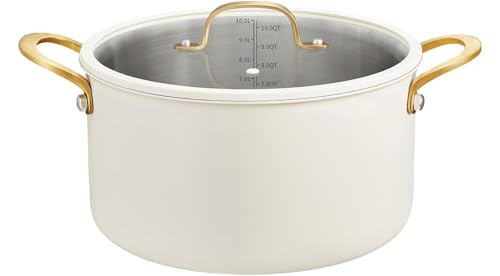 BEZIA 10 Quart Stainless Steel Stock Pot, Large Soup Pot, Casserole with Lid, Stockpot with Visible Lid, Silicone Edging, Sturdy & Double Handle, Induction Cooking Pot for Pasta, Soup, Spaghetti