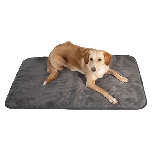 MyBestBuddy Hundematte grau Basic 120x70 cm XL mit weichem Stoff extra für Haustiere - 40°C waschbar, allergikerfreundlich - Hundekissen BZW. Hundebett für sehr große Hunde, 120 x 70 cm