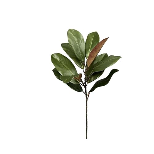 2 ramas artificiales de magnolia con hojas realistas para una elegante decoración de mesa en interiores y exteriores, como flores artificiales duraderas, alternativa a las plantas reales (verde, 56 cm