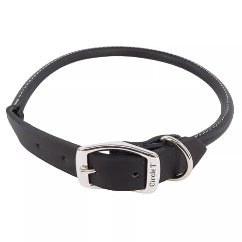 Circle T Collier chien cuir roulé noir 18 po