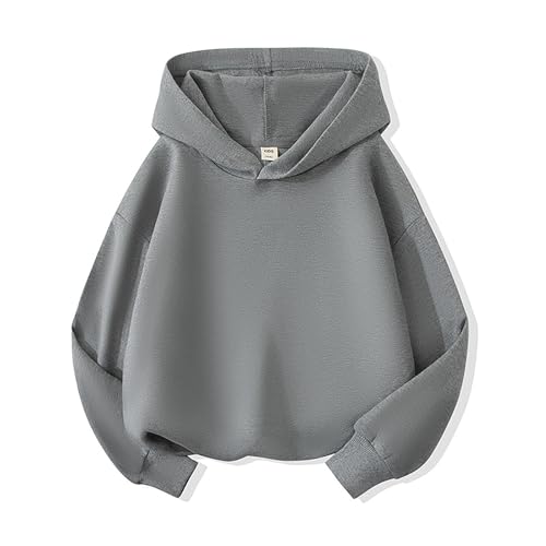 Youth Hoodie Sweatshirt Toddler Kids Baby Boys Girls Basic Hooded Pullover Sweatshirt Children's Solid Pullover2