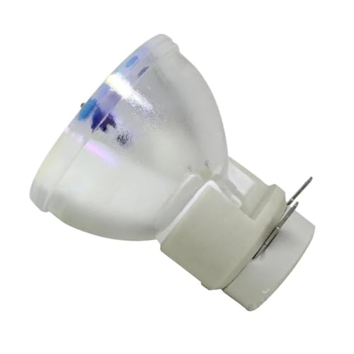 Ampoules de remplacement adaptées pour Optoma BL-FP280H 280W
