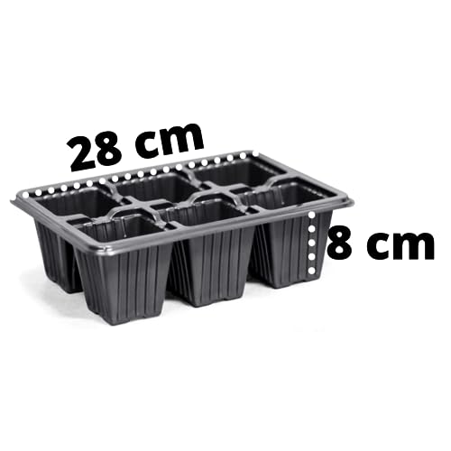 Kit 20 Bandeja Sementeira 6 Células 160ml Vaso Para Produtor de Muda de Plástico Preto Horta