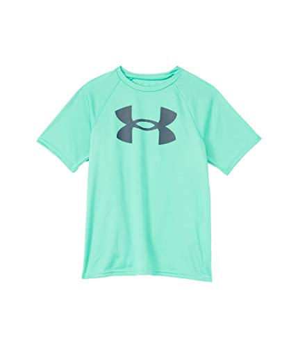 Image of Under Armour Boys' Tech Big Logo Short Sleeve T-Shirt
