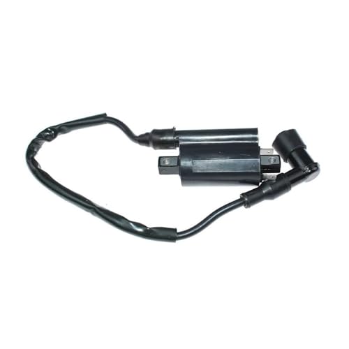 Bobine d'allumage performance stable Suzuki TS185 TS100 - 2