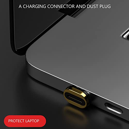 Adattatore magnetico USB C - 24 pin Tipo C