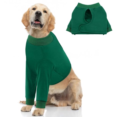 Image of Queenmore Dog Recovery Suit for Front Legs, Adjustable Dog Leg Sleeves to Stop Licking, Breathable Recovery Sleeve for Large Breeds, Wound Care for Pets, Green, L