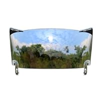 Reyrr Athletics Vizu Visier Clear