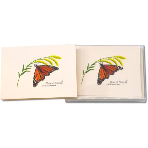 Image of Earth Sky + Water - Monarch Butterfly on Goldenrod - 8 Blank Cards with Envelopes