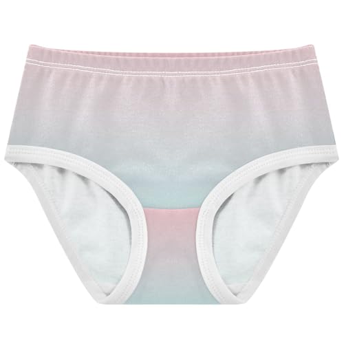 Joisal Blush Pink Pale Turquoise Gradient Panties for Girl Toddler Girls Underwear Cotton Fun Briefs Kids Undies 2t