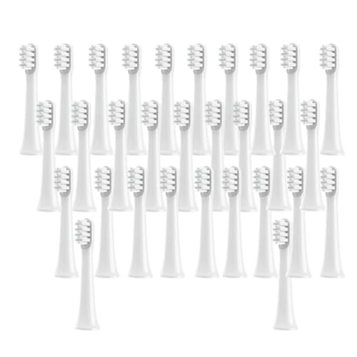 12/16/20/30�A�݊���������܂��V���I�~�ɑΉ��AT100�����p���u���V�w�b�h �\�j�b�N�d���\�t�g�уu���V(White-30pcs)