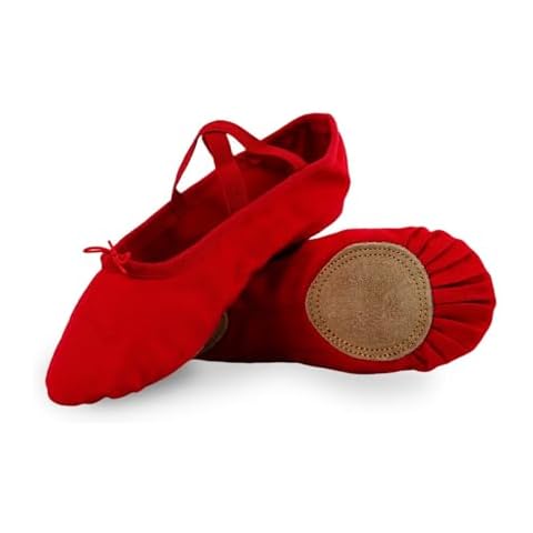 Ballet Flats for Girls by flexdans Cover