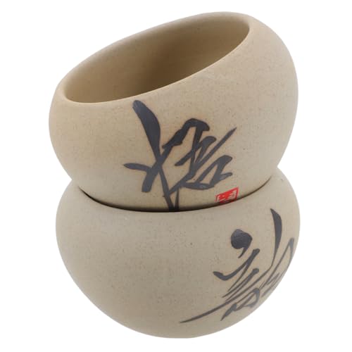 AKOOSY 2 Piezas Maceta Cerámica para Suculentas