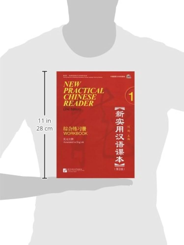 Practical Audio-Visual Chinese Student&#39;s Workbook 1 2nd Edition [ペーパーバック] Amazon.co.jp: Practical Audio-Visual Chinese Student's