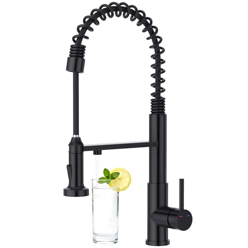 CREA 3 Way Kitchen Tap, Kitchen Sink Tap with Pull Out Sprayer Commercial Single Handle Lever Spring Water Filter Black Stainless Steel UK Standard