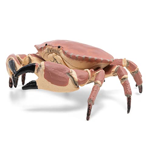 Papo - Realistische Krabbenfigur - Pädagogische Meeresfigur - ab 3 Jahren - Meereswelt - handbemalt - REGT die Fantasie an - 8cm x 7,5cm x 2,5cm - pädagogisches Spielzeug - Geschenkidee