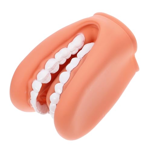 PRETYZOOM Teeth Model for Brushing Teaching Teaching Model Portable Realistic PVC