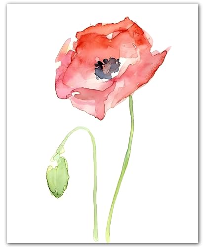 Poster botanique coquelicot rouge pour embellir un petit mur