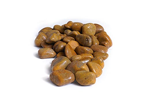 Image of Decorative Stones for Vase Filler or Pebbles for Home Decor /Decorative Capsule Pebbles /Glass /gravels /Stone /Beads for Aquarium, Table, vase, Fountain (Camel Brown, 480 Gram)