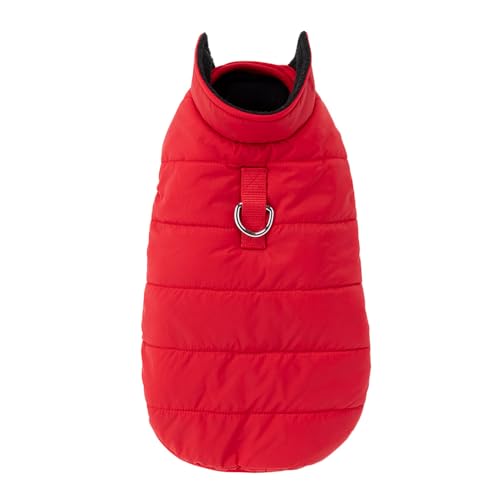 JCY(CAINZ) 킽׃Xg bh LTCY ybg(̕)