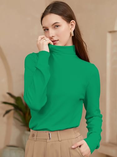 Image of DAIMIDY Turtleneck Sweaters for Women Long Sleeve Pullover Tops | Knitted Material| Soft, Warm and Breathable| High Resilience and Tensile Strength Design| Business Casual Tops| Dailywear