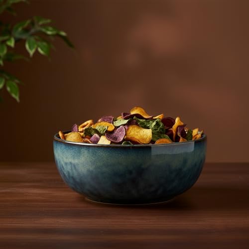 Image of The Better Home Terra Series Ceramic Bowl for Snack & Dinner(1Pcs) | Ramen Soup Bowl | Microwave Safe | Chip Resistant | Snack Serving Bowl | Dinning Bowl | Katoris for Dinner | Serving Bowl Set