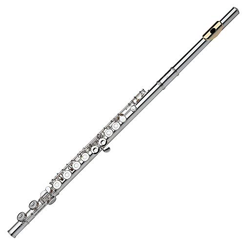 Gemeinhardt 2Spglp 2Sp Flute Gold Lip Plate #TOP16