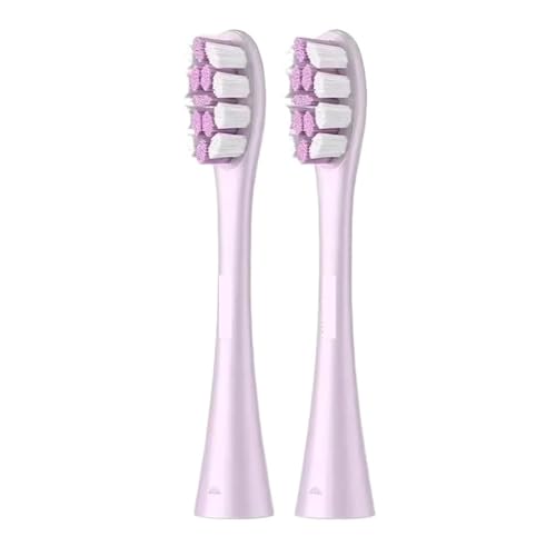 puVw??bhAX/X PRO/ Z1/ F1/ One/Air 2 \jbNduVwbhɑΉ(P1C13 2PCS)