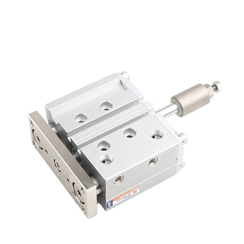 Cylindre double tige TCMJ20X30-10S anti-torsion pour guidage précis