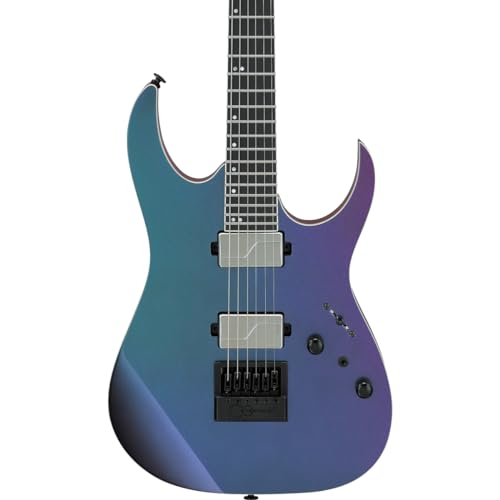 Ibanez Prestige RG5121ET-PRT Polar Lights – Guitare Électrique Signature - Les Beatles, Paul McCartney, John Lennon, RIngo Starr, George Harrison Ibanez Prestige RG5121ET-PRT Polar Lights - Guitare Électrique Signature – Image 6