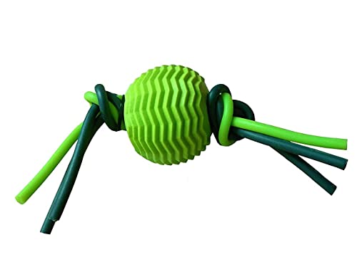 W9 Pet Products Dental Care Rubber Tooth Cleaning Ball Toy for Small Puppy (Green)