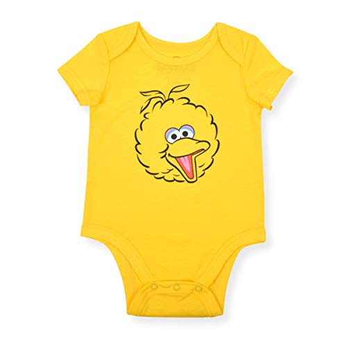 Sesame Street Baby Boys 5 Pack Short Sleeve Bodysuit for Newborn and Infants4