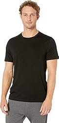 Icebreaker Merino Men's Mens Tech Lite Ss Crewe, Black, S