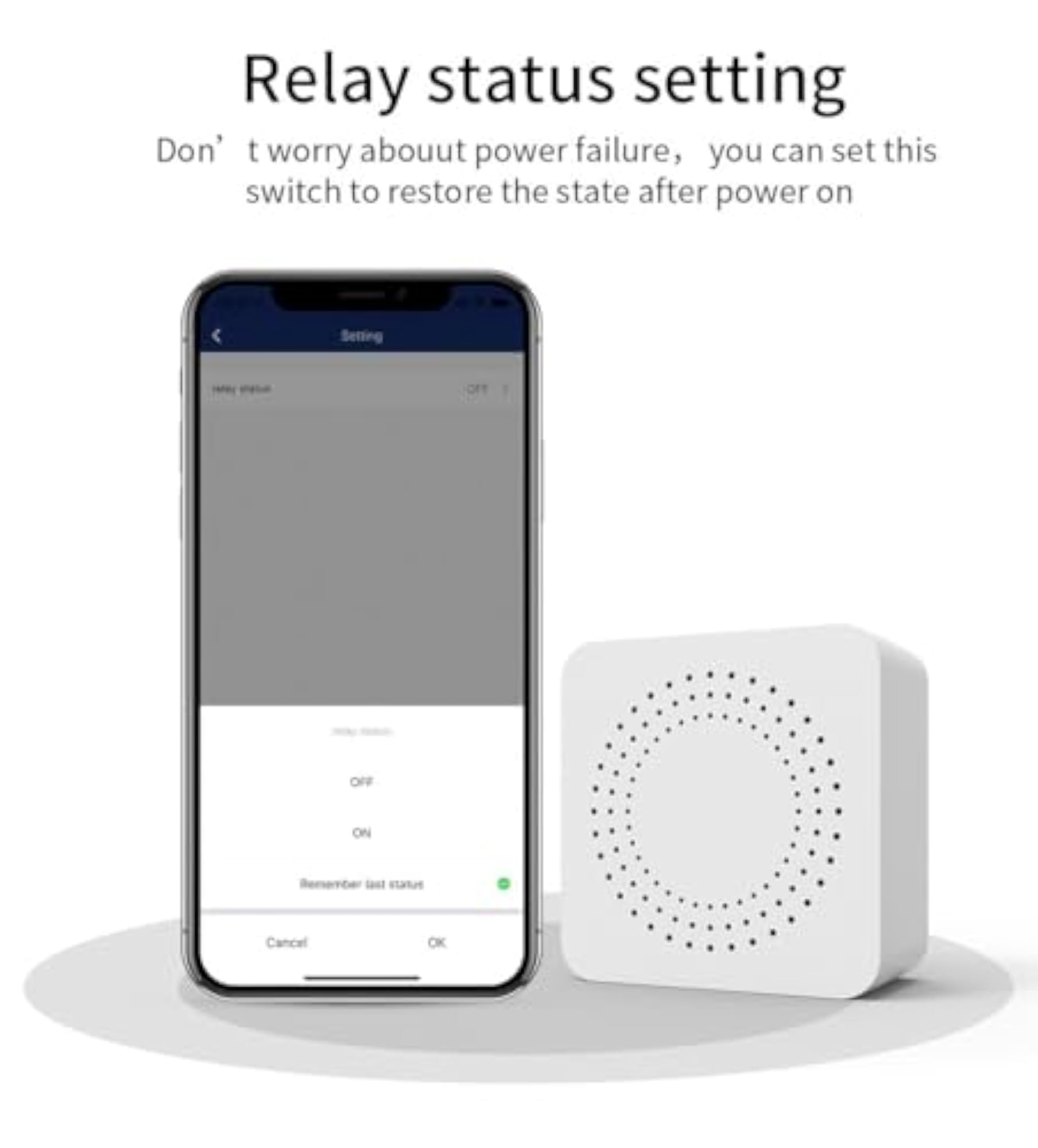 WIFI Smart Inline Switch Compatible with Alexa