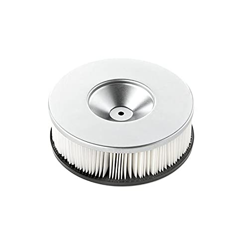 Synclean 2512742 FILTRO CARTUCCIA per aspirapolvere GHIBLI e WIRBEL