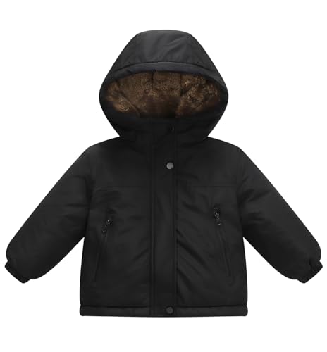 [Panegy] LbY _E WPbg q R[g j̎q q ̎q g N AE^[ ȓ  t[ht t H ~ ۉ h΍ WjA ʉ ʊw o JWA ubN 160