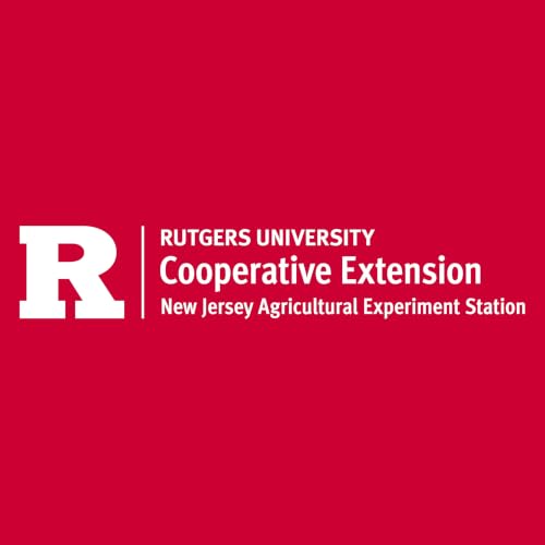 RCE Extension 360 cover art