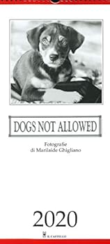 Calendar Calendario dogs not allowed 2020 Book