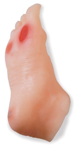 HEALTH EDCO W43107 Biolike Diabetic Foot Model