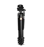 ▼ [Patas ajustables]: Un trípode ligero, patas de altura ajustable, y patillas de las columnas con las cerraduras de liberación rápida proporcionan una postura más conveniente.Varias alturas pueden ajustarse para cumplir con la altura necesaria para la grabación.El trípode es estable en el suelo.El sistema de ajuste del ángulo de la pierna 3-posición proporciona una grabación flexible para diferentes escenarios y condiciones de disparo.
