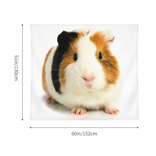 Tenture cochon d'Inde EdWal pour une touche de tendresse dans votre salon - 5
