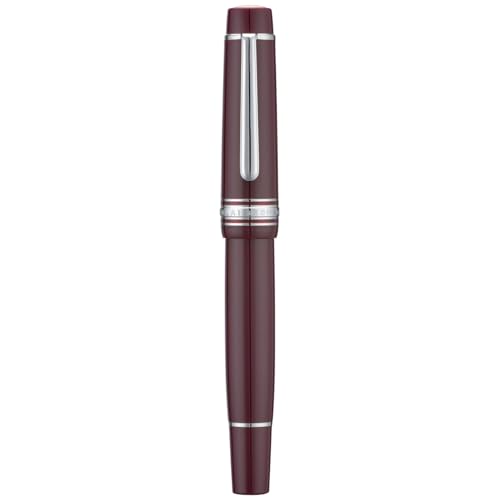 Stylo-plume à piston réservoir d'encre stylo d'écriture rouge