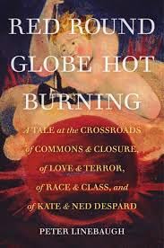 Buy Red Round Globe Hot Burning: A Tale at the Crossroads of Commons and Closure, of Love and Terror, of Race and Class, and of Kate and Ned Despard — BookShops.in