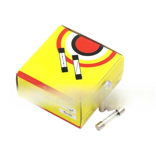 Fusible 5 pièces 5X20 250V lot de rechange pour protection électrique domestique
