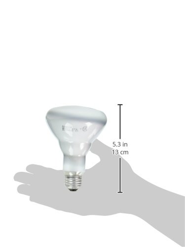 Sylvania Lighting Br30 65W 120-Volt Indoor Flood Bulb, 6-Pack #TOP2
