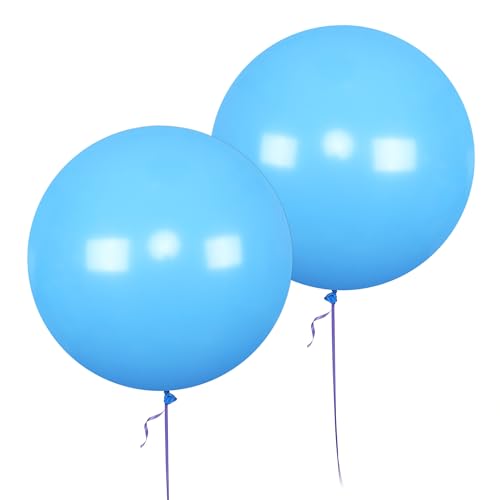 AZOWA 24 Inch Light Blue Round Balloon 16 Pack Large Party Balloons