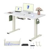 FLEXISPOT Scrivania Regolabile in Altezza, Doppio Motore, Scrivania Ergonomica da Ufficio con Piano Unico da 25 mm 120x80 cm, Gestione Cavi, Funzione Memory e Display Altezza