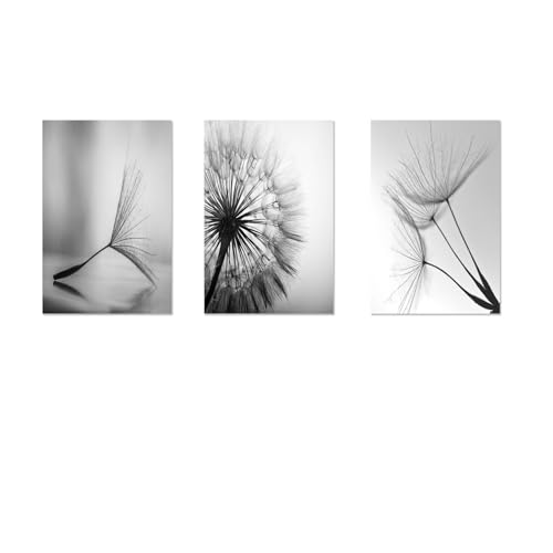 Kiddale Dandelion Wall Art Canvas Print Poster