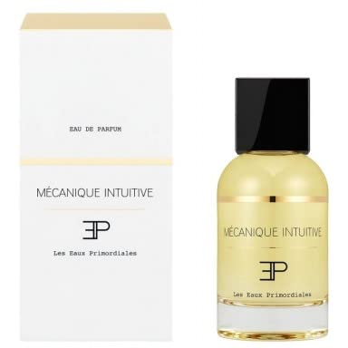 LES EAUX PRIMORDIALES MECANIQUE INTUITIVE EDP 100 ml : Amazon.it